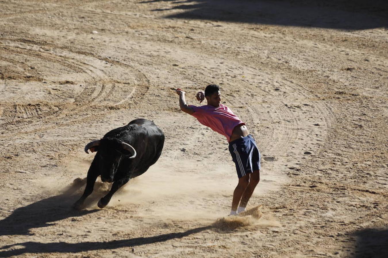 Fotos: Capea en la Plaza del Coso de Peñafiel