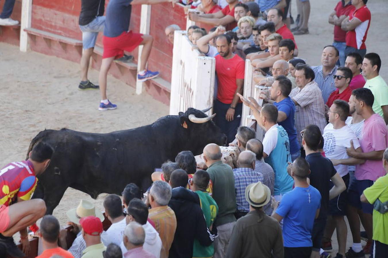 Fotos: Capea en la Plaza del Coso de Peñafiel