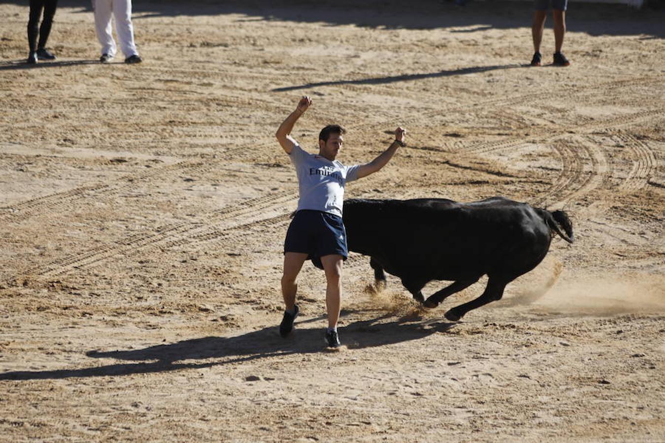 Fotos: Capea en la Plaza del Coso de Peñafiel