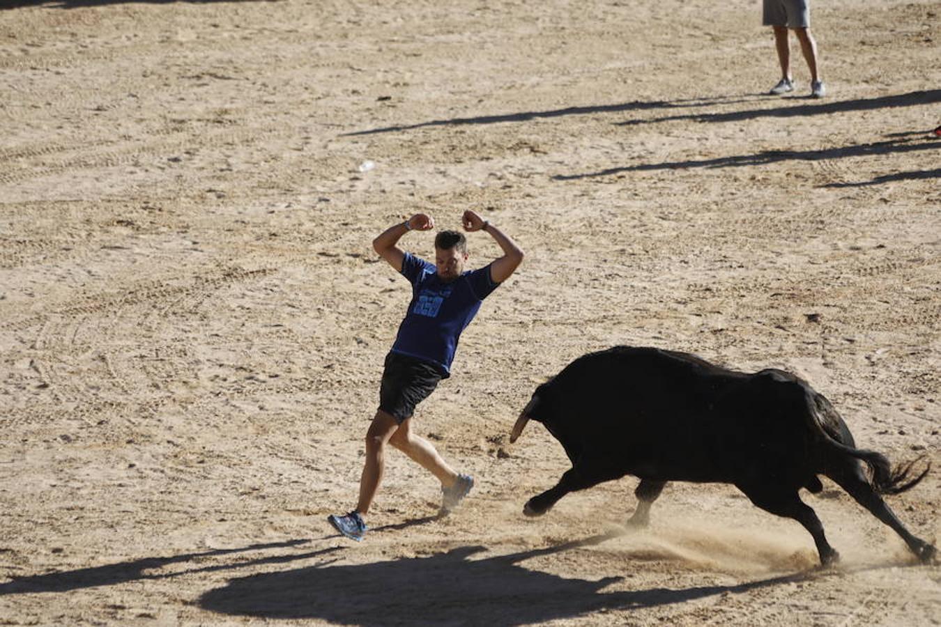 Fotos: Capea en la Plaza del Coso de Peñafiel