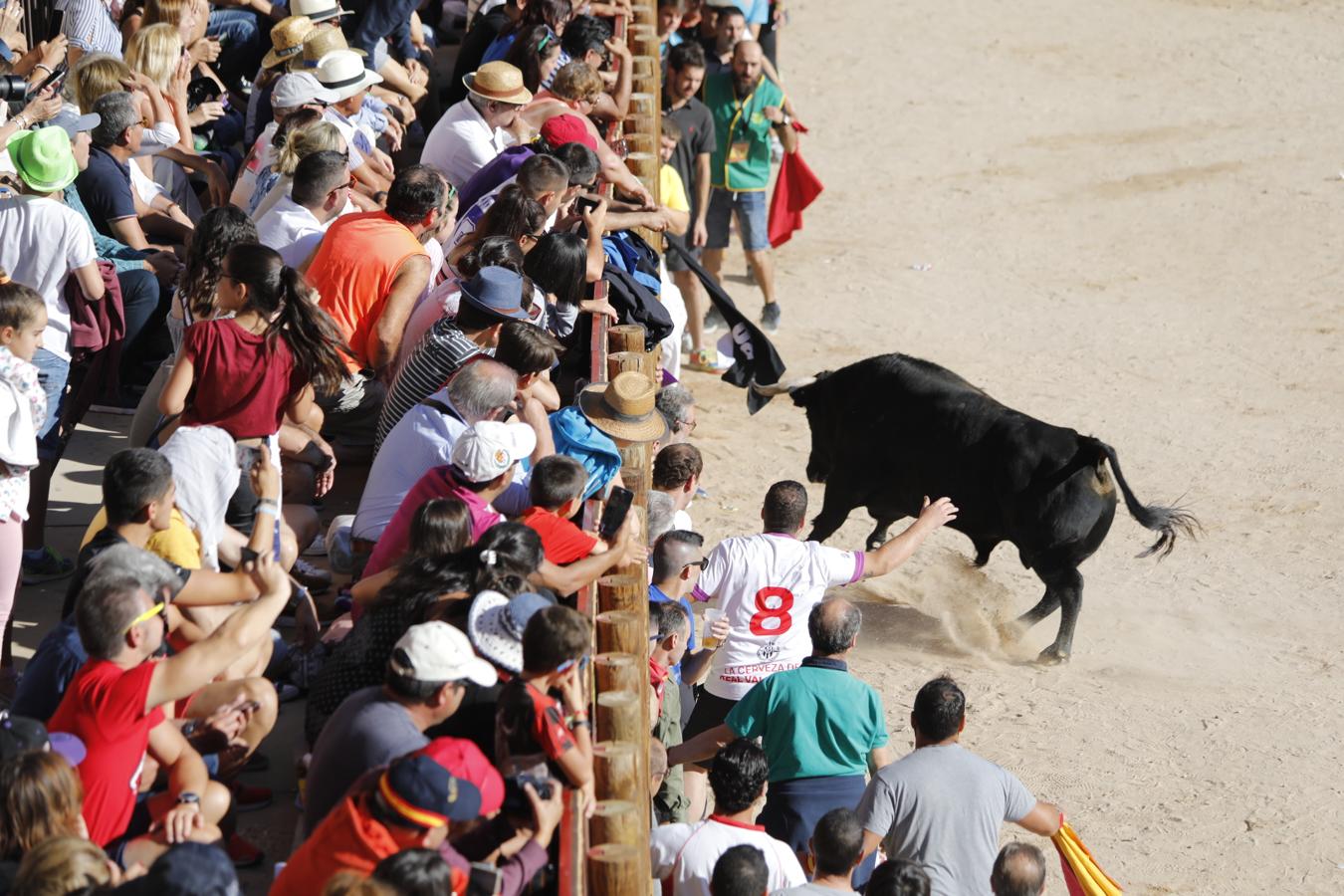 Fotos: Capea en la Plaza del Coso de Peñafiel