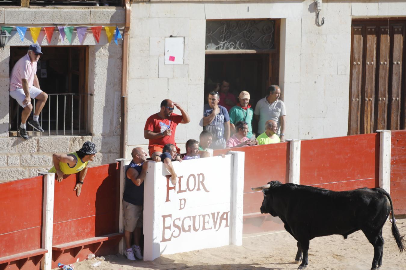 Fotos: Capea en la Plaza del Coso de Peñafiel