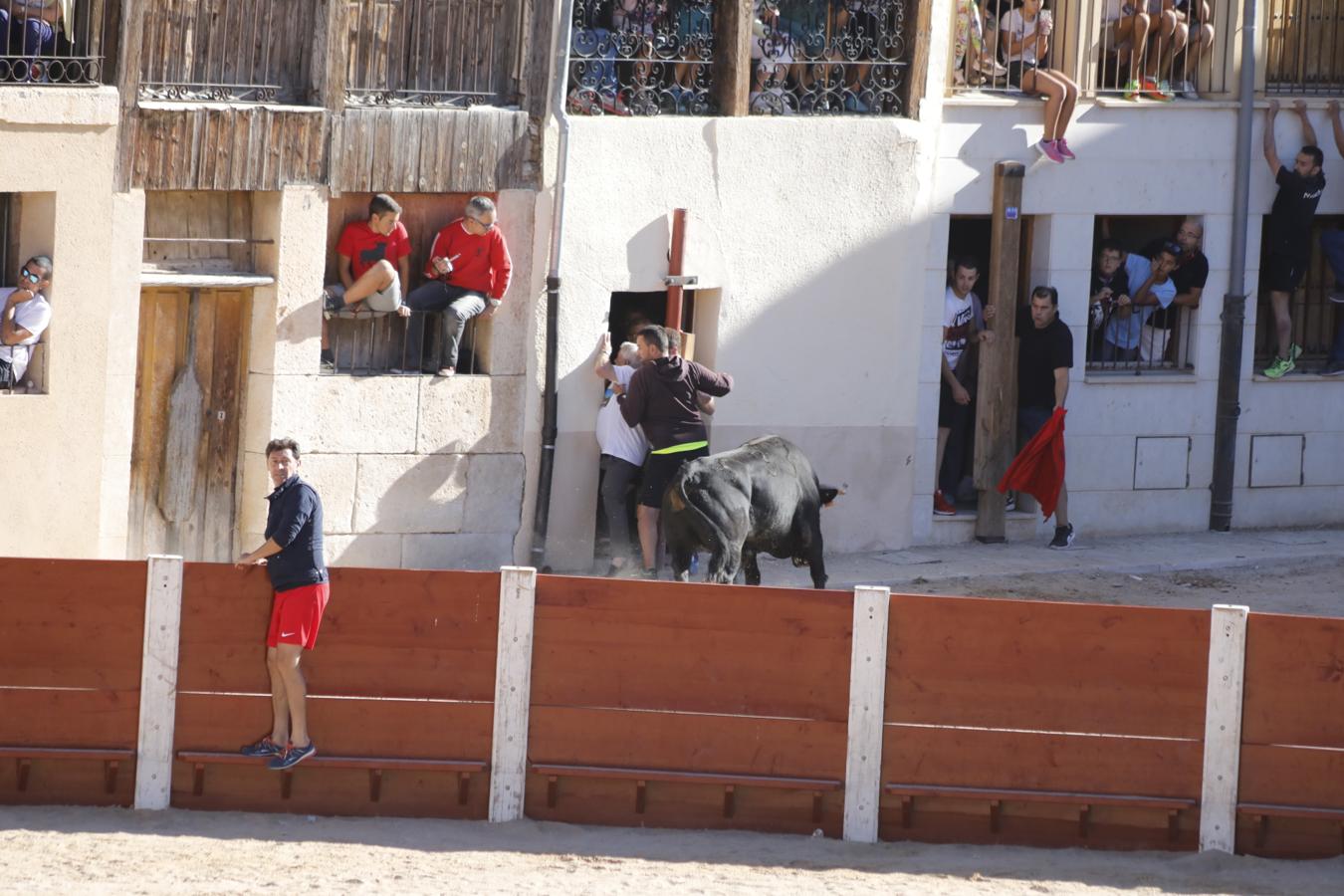 Fotos: Capea en la Plaza del Coso de Peñafiel