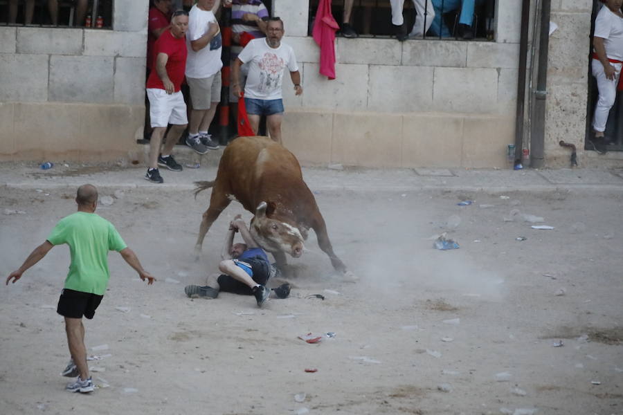 Uno de los mozos ha sufrido un varetazo por parte de uno de los novillos que han participado en la suelta de esta tarde en la localidad vallisoletana. Hoy Peñafiel celebra su patrón, San Roque