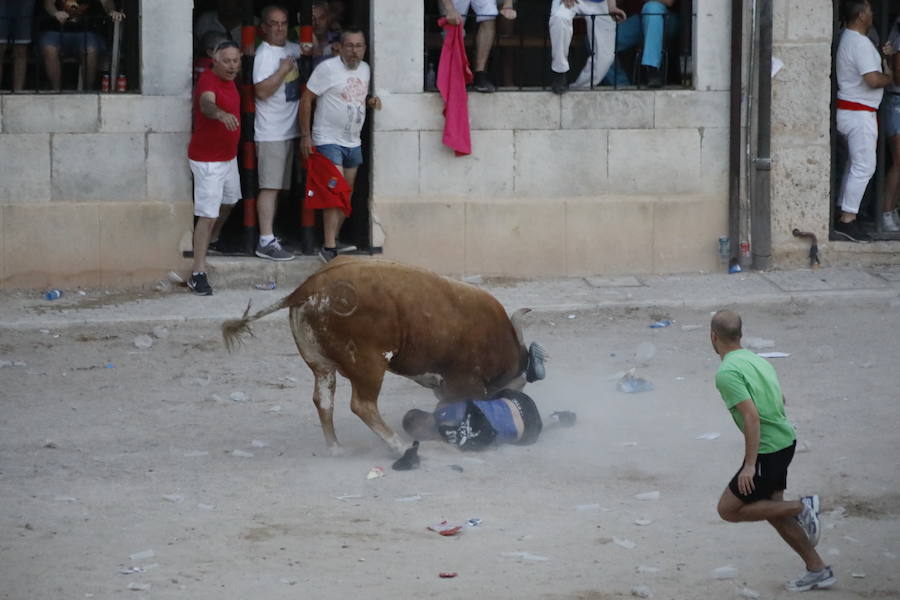 Uno de los mozos ha sufrido un varetazo por parte de uno de los novillos que han participado en la suelta de esta tarde en la localidad vallisoletana. Hoy Peñafiel celebra su patrón, San Roque