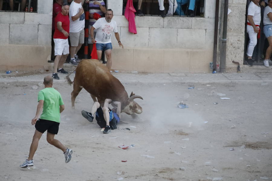 Uno de los mozos ha sufrido un varetazo por parte de uno de los novillos que han participado en la suelta de esta tarde en la localidad vallisoletana. Hoy Peñafiel celebra su patrón, San Roque