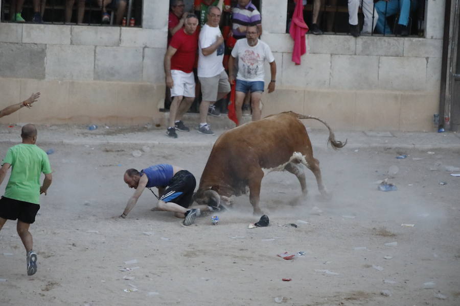 Uno de los mozos ha sufrido un varetazo por parte de uno de los novillos que han participado en la suelta de esta tarde en la localidad vallisoletana. Hoy Peñafiel celebra su patrón, San Roque