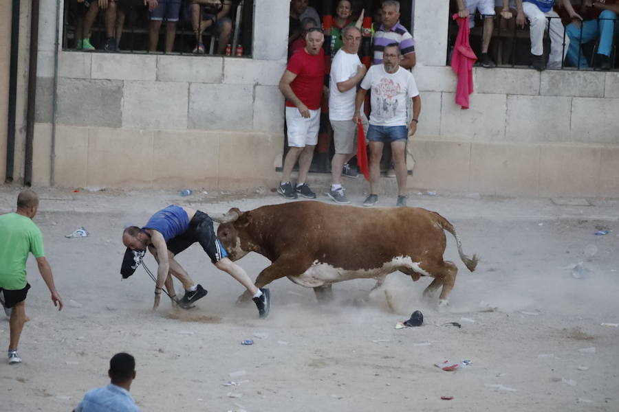 Uno de los mozos ha sufrido un varetazo por parte de uno de los novillos que han participado en la suelta de esta tarde en la localidad vallisoletana. Hoy Peñafiel celebra su patrón, San Roque