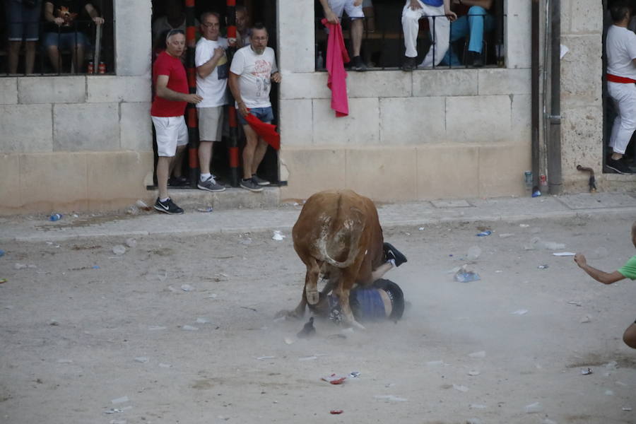 Uno de los mozos ha sufrido un varetazo por parte de uno de los novillos que han participado en la suelta de esta tarde en la localidad vallisoletana. Hoy Peñafiel celebra su patrón, San Roque