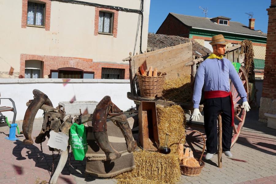 Fotos: Feria Del Pan en Cobos de Cerrato