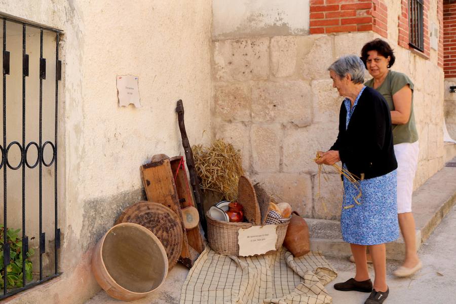 Fotos: Feria Del Pan en Cobos de Cerrato