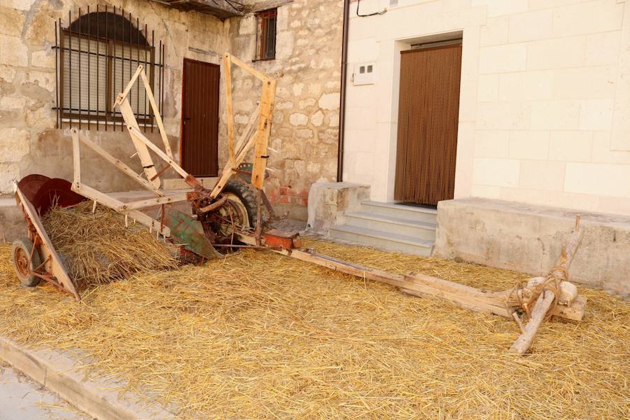 Fotos: Feria Del Pan en Cobos de Cerrato