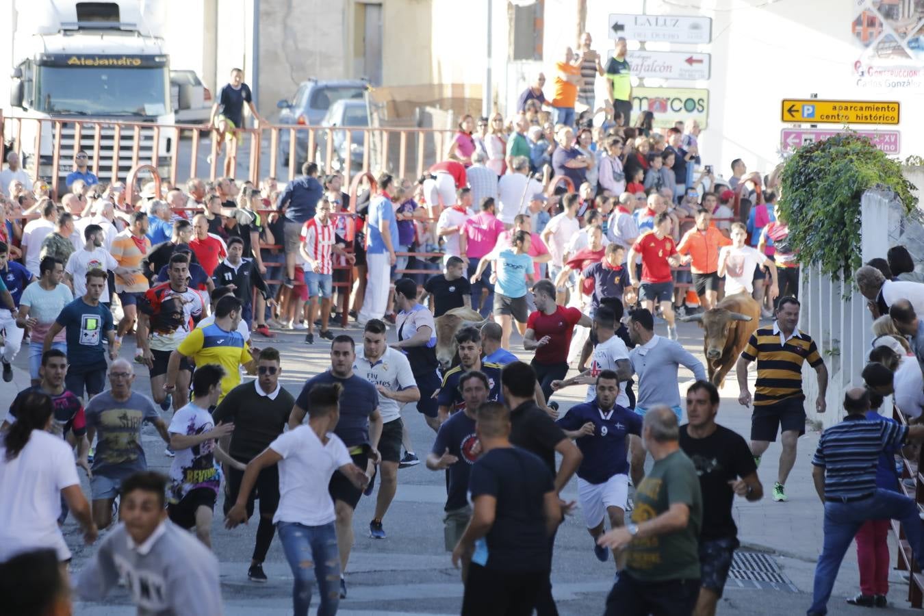 Fotos: Encierro mañanero en Peñafiel