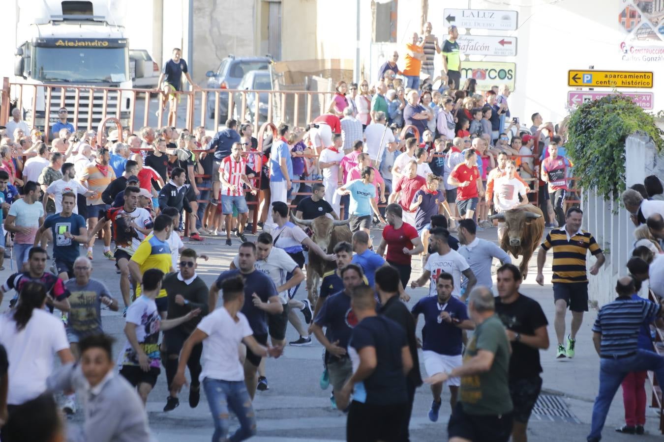 Fotos: Encierro mañanero en Peñafiel