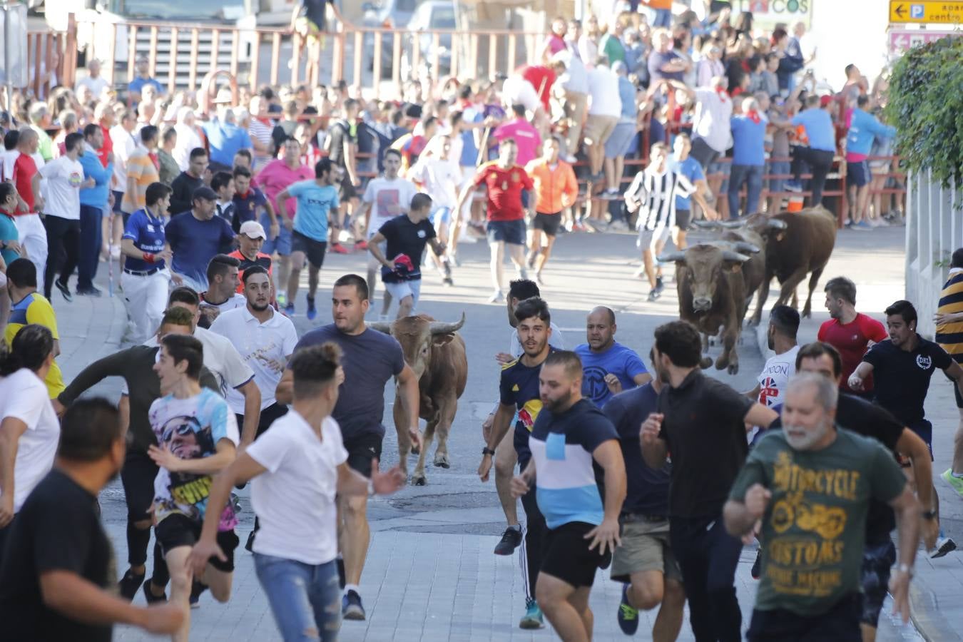 Fotos: Encierro mañanero en Peñafiel