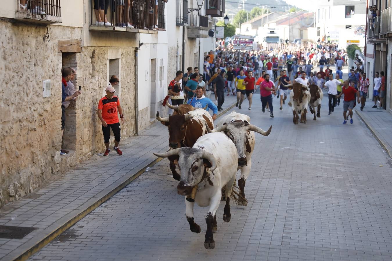 Fotos: Encierro mañanero en Peñafiel