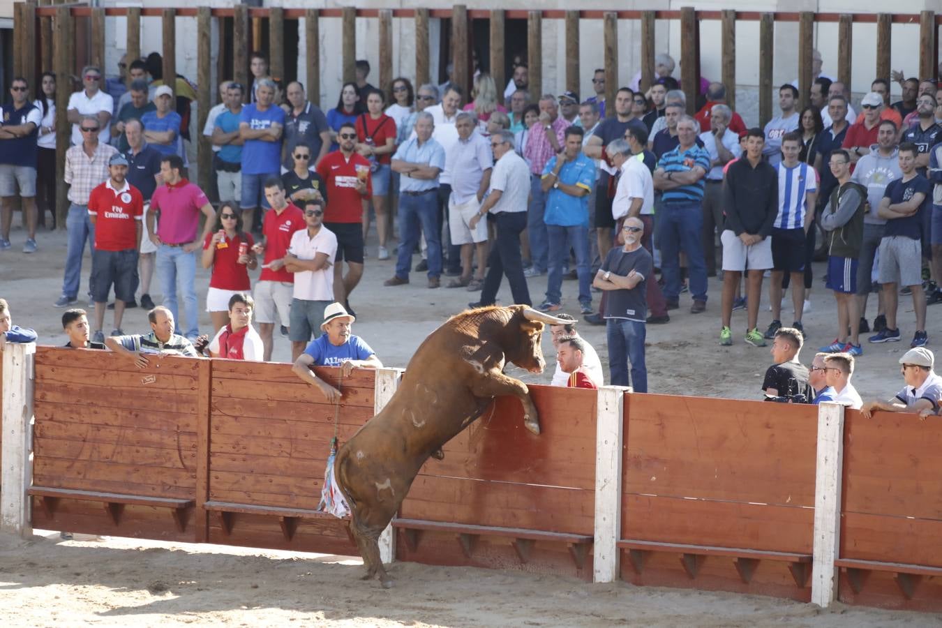 Fotos: Encierro mañanero en Peñafiel