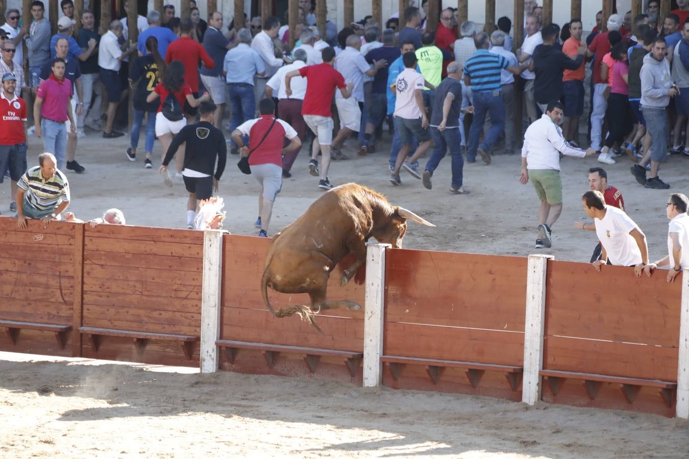 Fotos: Encierro mañanero en Peñafiel