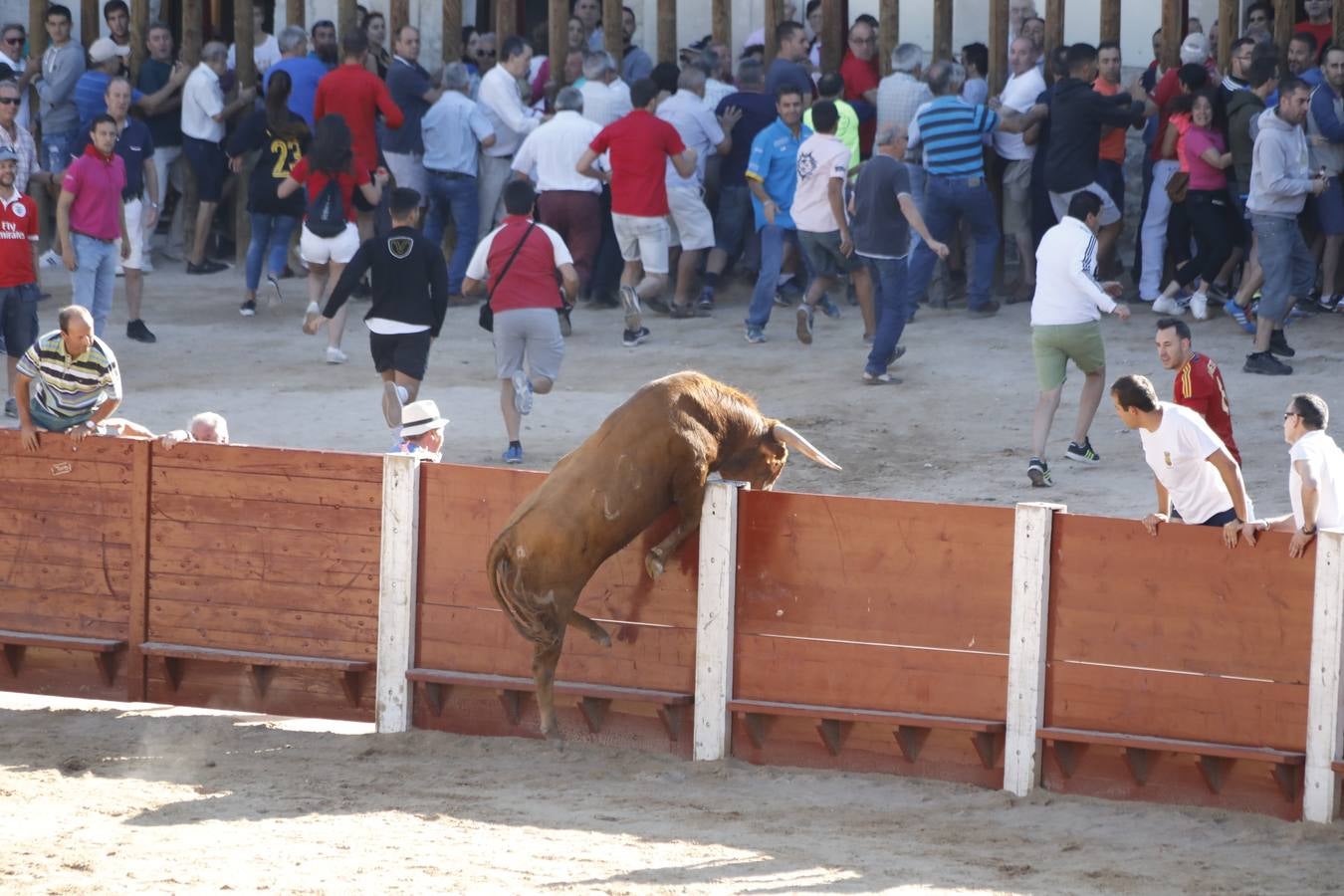 Fotos: Encierro mañanero en Peñafiel