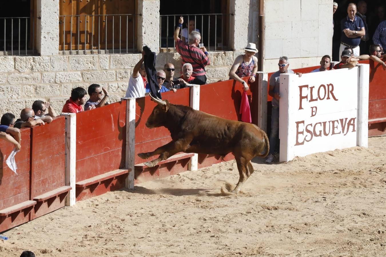 Fotos: Encierro mañanero en Peñafiel