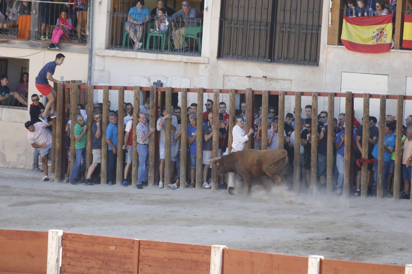 Fotos: Encierro mañanero en Peñafiel