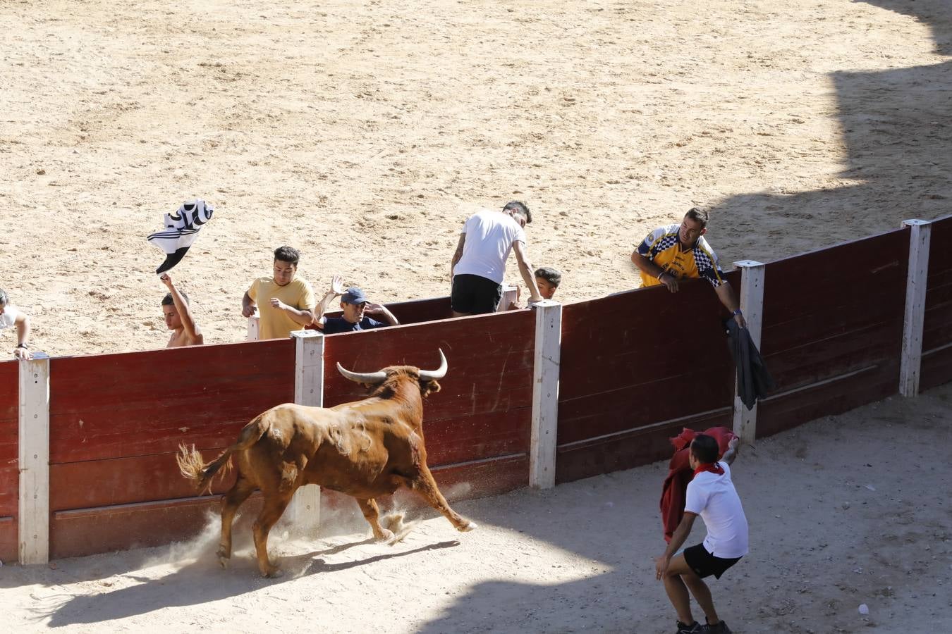 Fotos: Encierro mañanero en Peñafiel