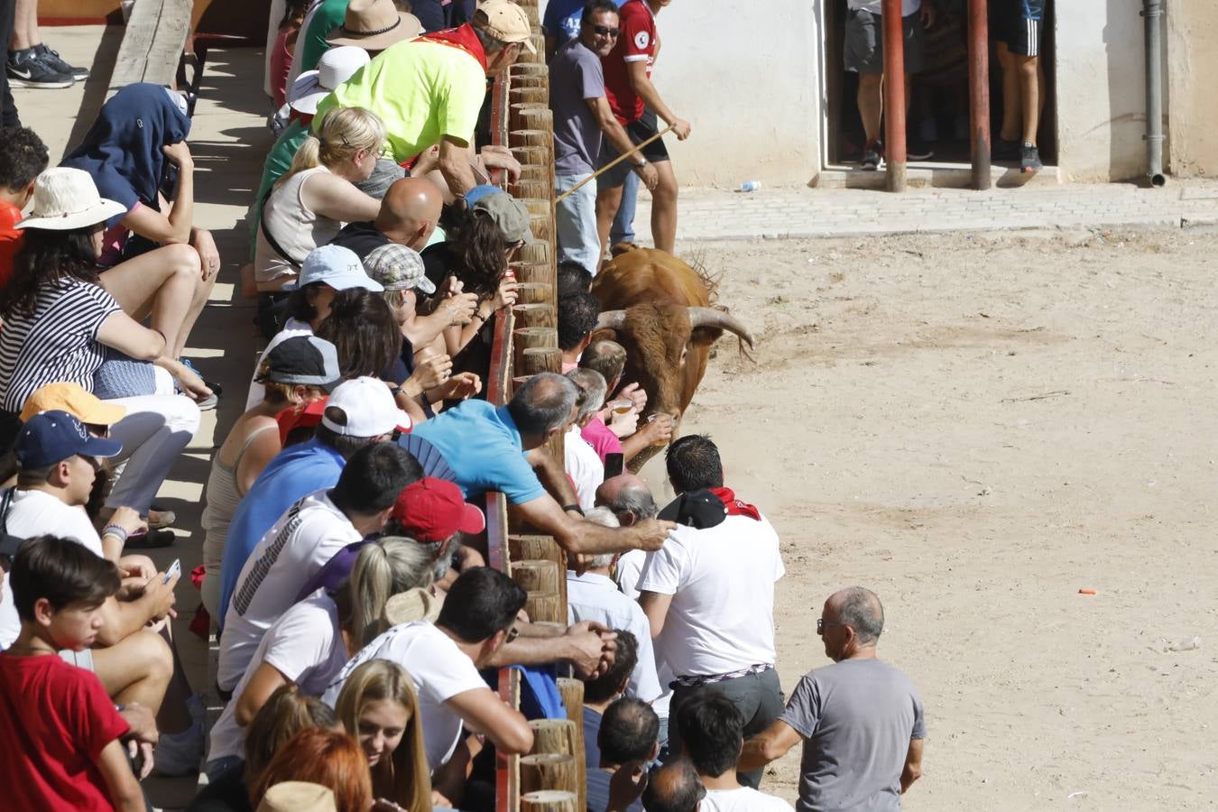 Fotos: Encierro mañanero en Peñafiel