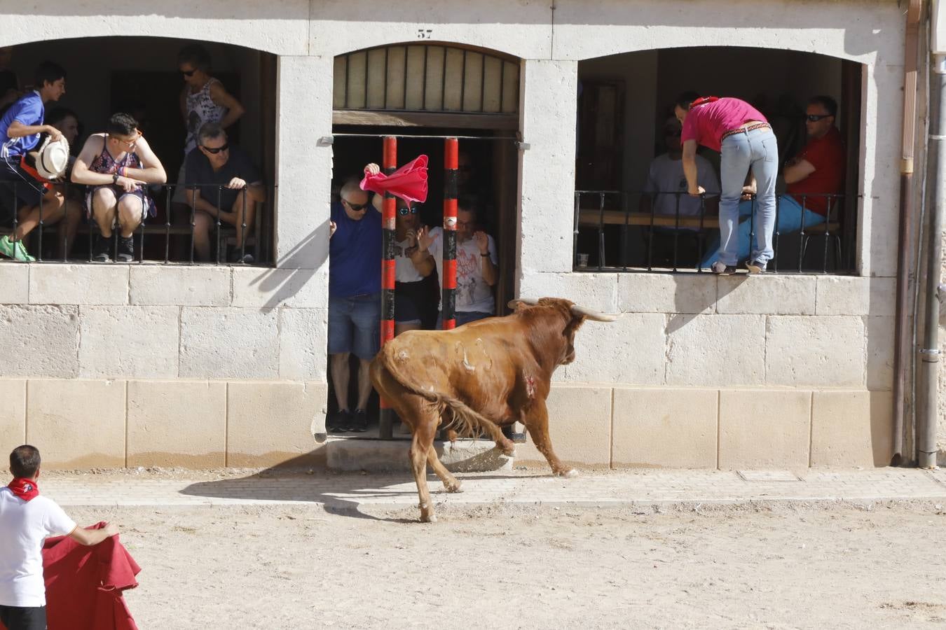 Fotos: Encierro mañanero en Peñafiel