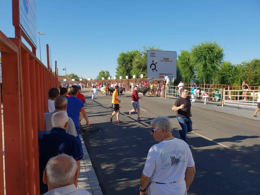 Fotos: Día de San Roque en Tudela de Duero