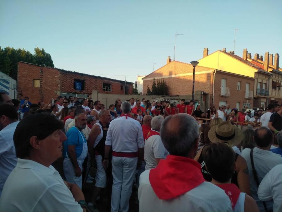 Fotos: Día de San Roque en Tudela de Duero