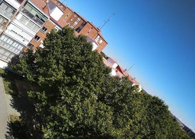 Imagen secundaria 1 - Imágenes participantes en la campaña. 