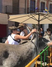 Imagen secundaria 2 - Medina espera 60.000 visitantes con las recreaciones de este fin de semana