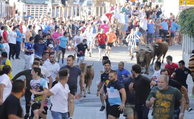 Encierro en Peñafiel.