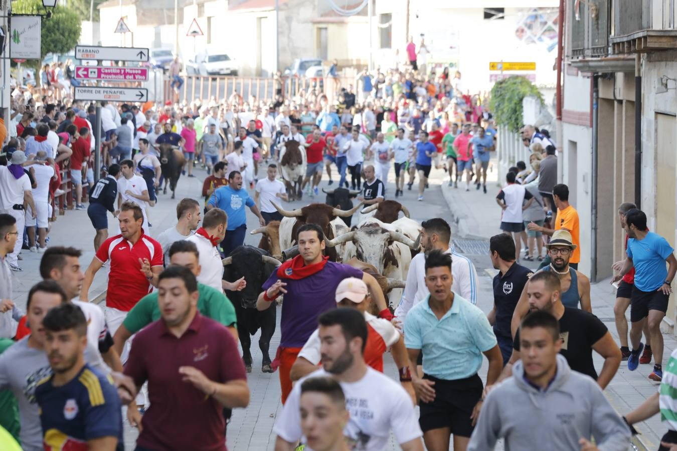 Fotos: Tercer encierro en Peñafiel