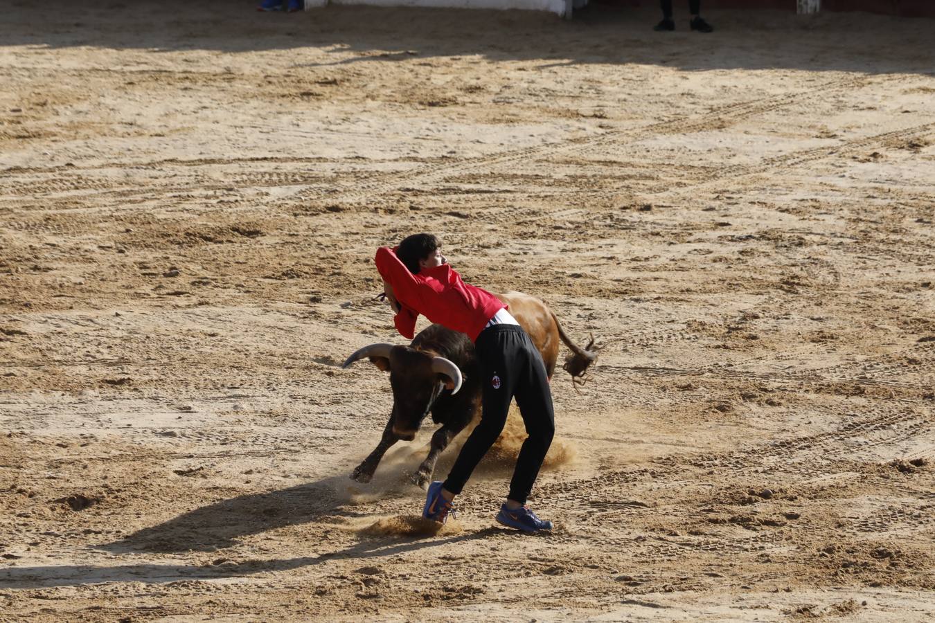 Fotos: Tercer encierro en Peñafiel