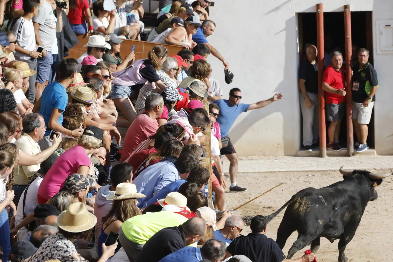 Fotos: Tercer encierro en Peñafiel