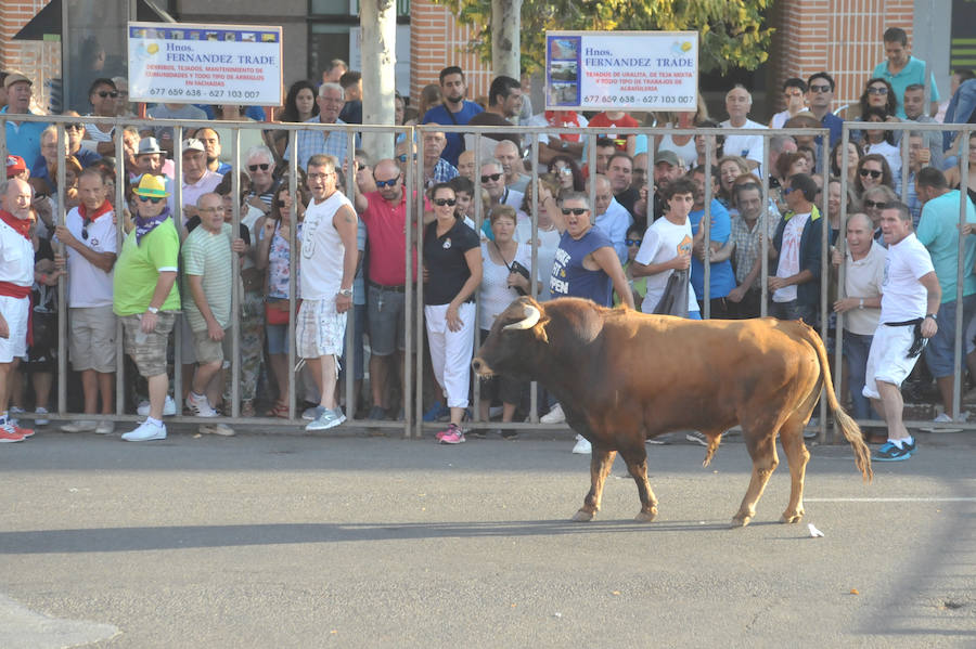 Fotos: Encierro del viernes en Tudela de Duero