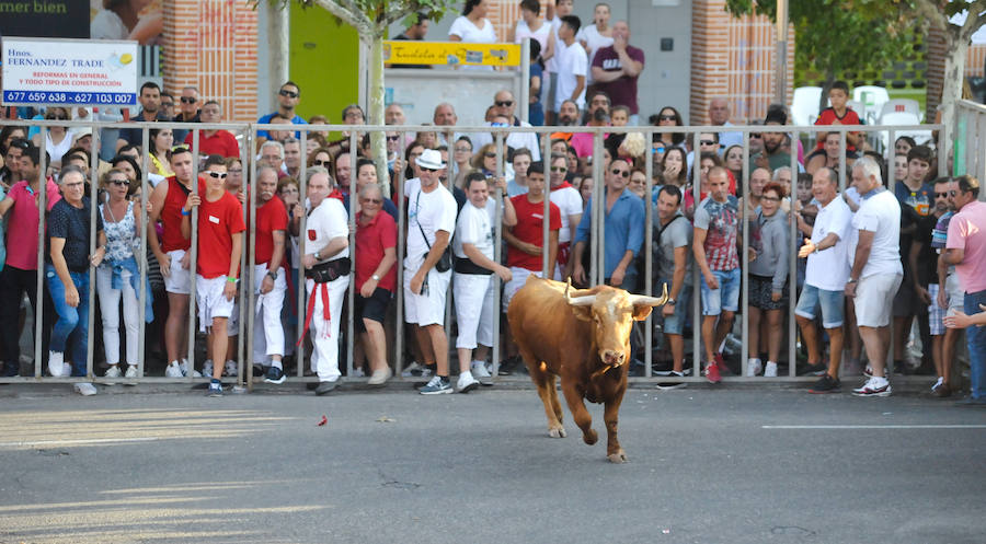 Fotos: Encierro del viernes en Tudela de Duero