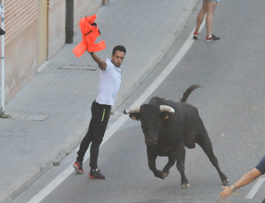 Fotos: Encierro del viernes en Tudela de Duero