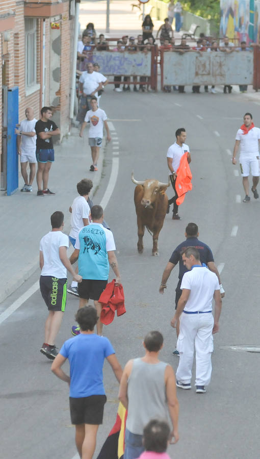 Fotos: Encierro del viernes en Tudela de Duero