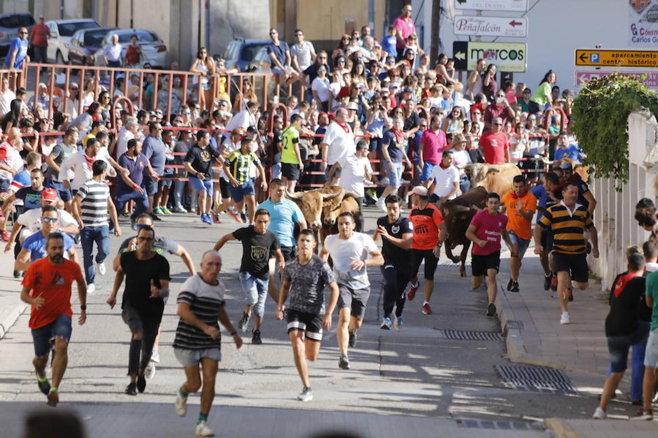 Fotos: Último encierro de las fiestas de Peñafiel