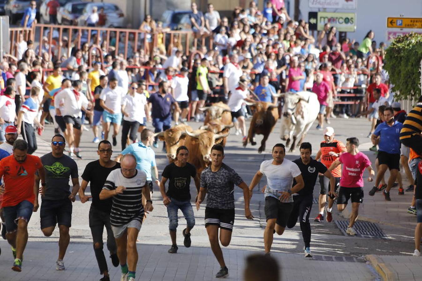 Fotos: Último encierro de las fiestas de Peñafiel