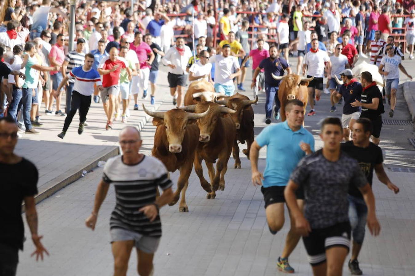 Fotos: Último encierro de las fiestas de Peñafiel