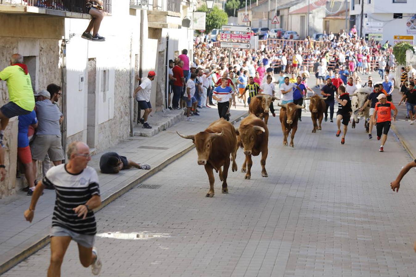 Fotos: Último encierro de las fiestas de Peñafiel