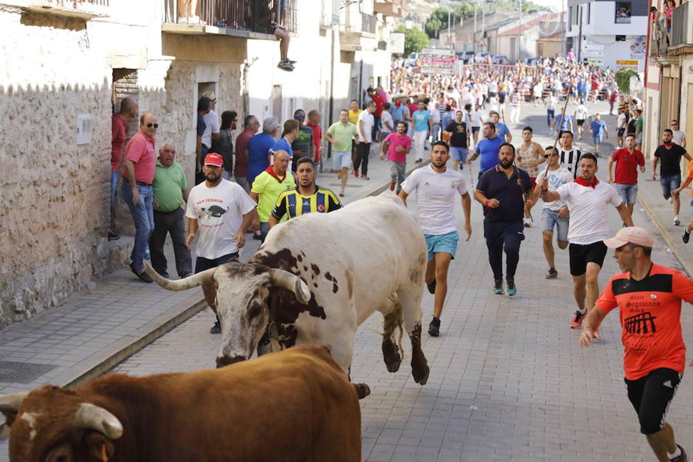 Fotos: Último encierro de las fiestas de Peñafiel