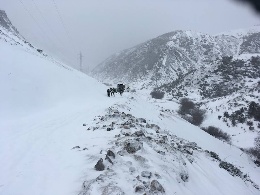 Fotos: La UME en acción