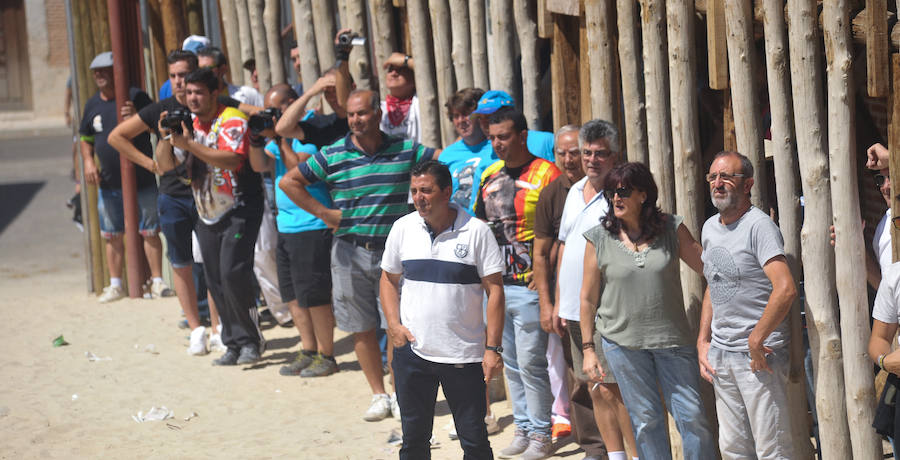 Fotos: Encierro del domingo en Serrada