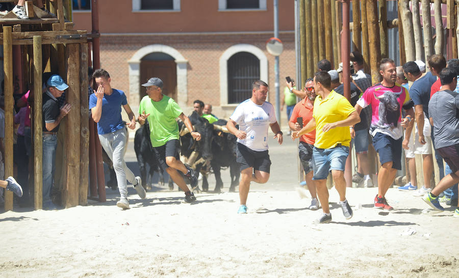 Fotos: Encierro del domingo en Serrada