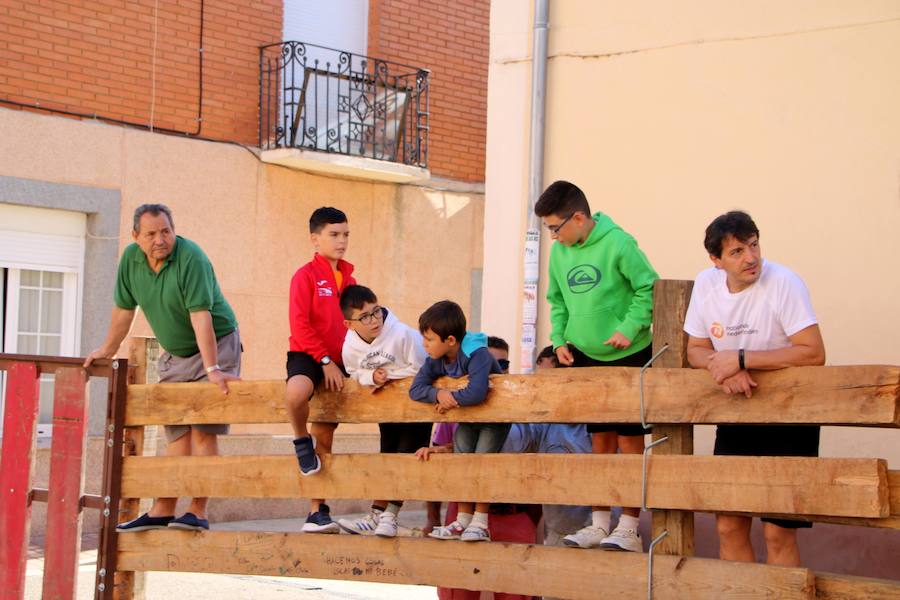 Fotos: Torquemada sigue Fiel a sus Encierros