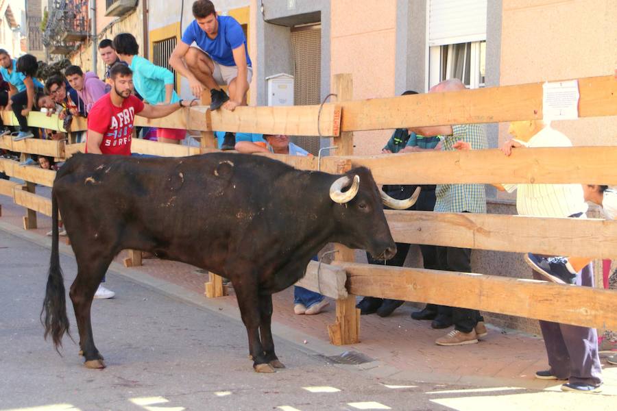 Fotos: Torquemada sigue Fiel a sus Encierros